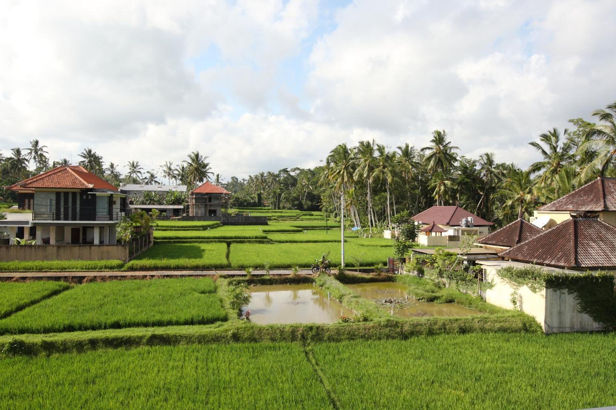 Swarapadi Villa Ubud Extérieur photo