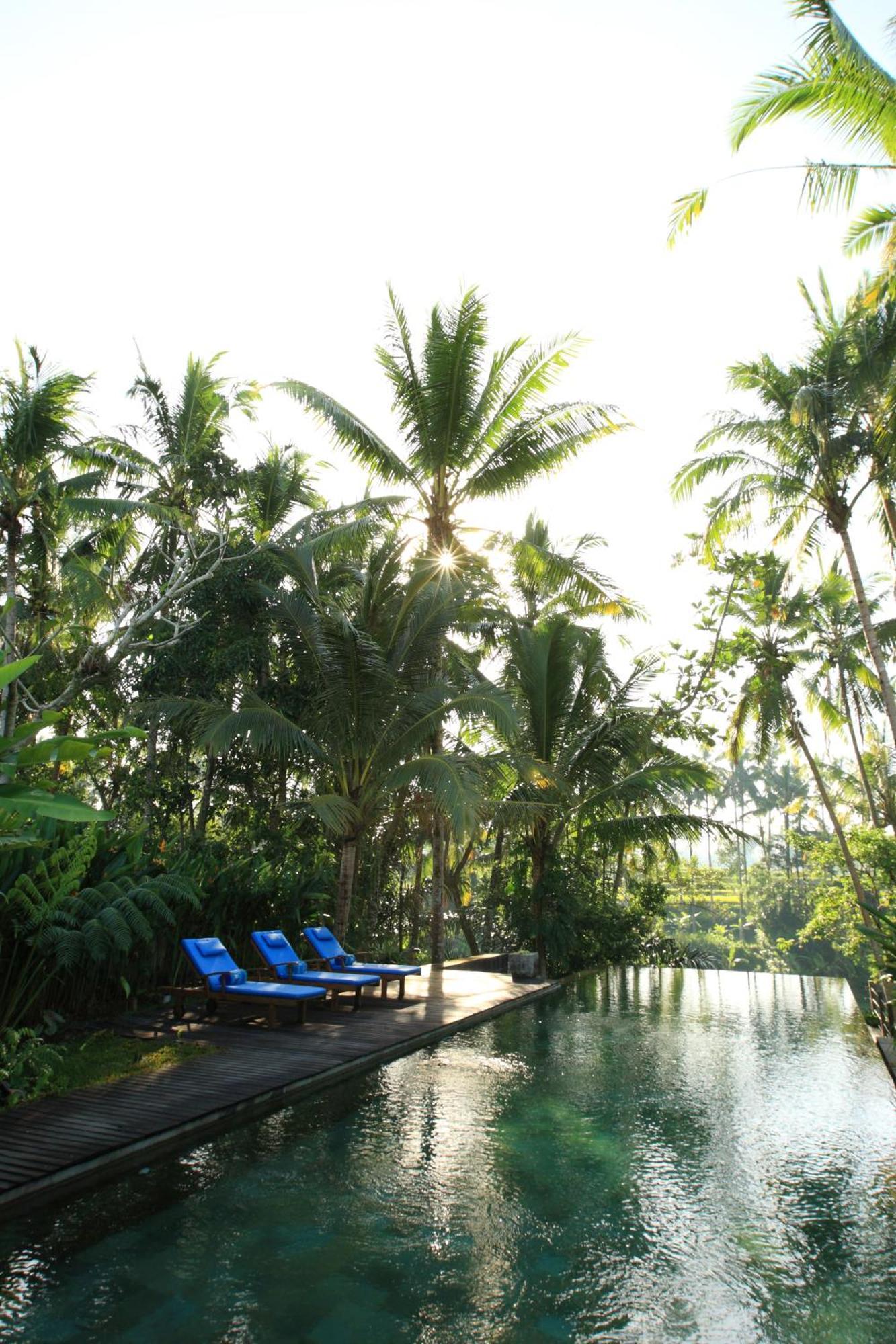 Swarapadi Villa Ubud Extérieur photo