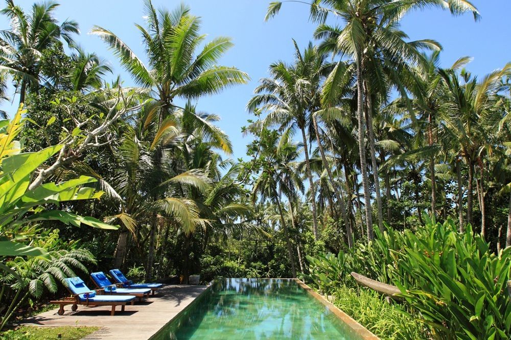 Swarapadi Villa Ubud Extérieur photo